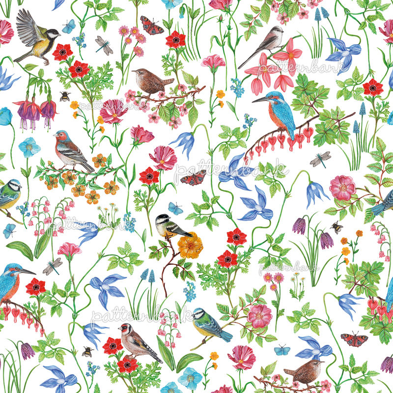 Secret Garden - Birds, Butterflies and Flowers Pattern (White Base and ...