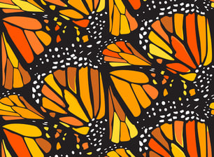 Download Monarch Butterfly Wings By Jessica Mcglothlin Seamless Repeat Vector Royalty Free Stock Pattern Patternbank
