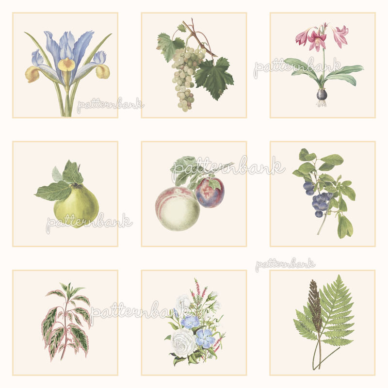 Gardener's Delight Botanical Border Print by Hughes Studio Seamless ...