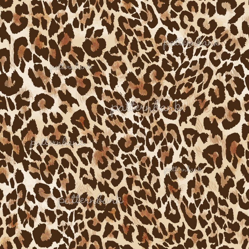 Basic Leopard Print by Danielle Hackett Seamless Repeat Royalty-Free ...